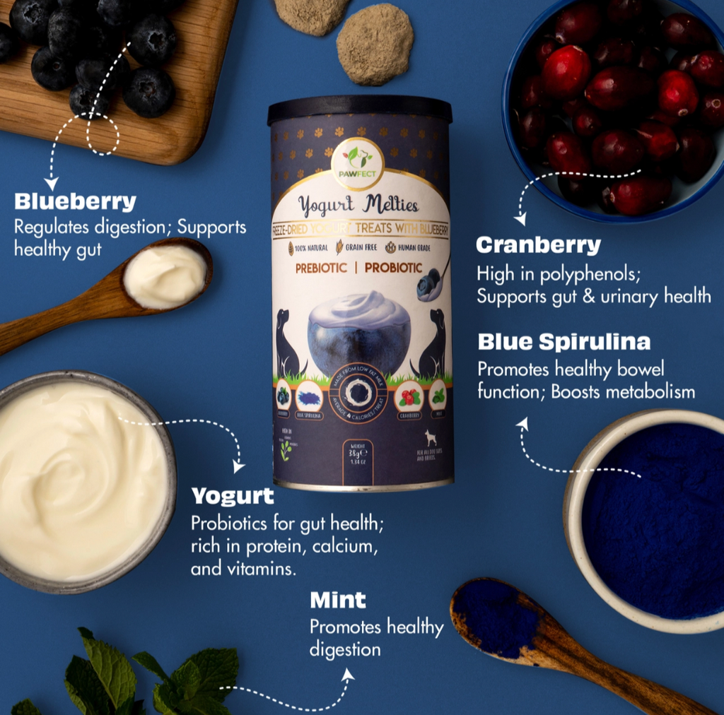 Pawfect Yogurt Melties Pre and Probiotic Dog Treats with Blueberry, Cranberry, Blue Spirulina & Mint | Healthy Gut | Low Calories | Grain & Gluten Free | Reward or Training Treats (38g/1.34oz)