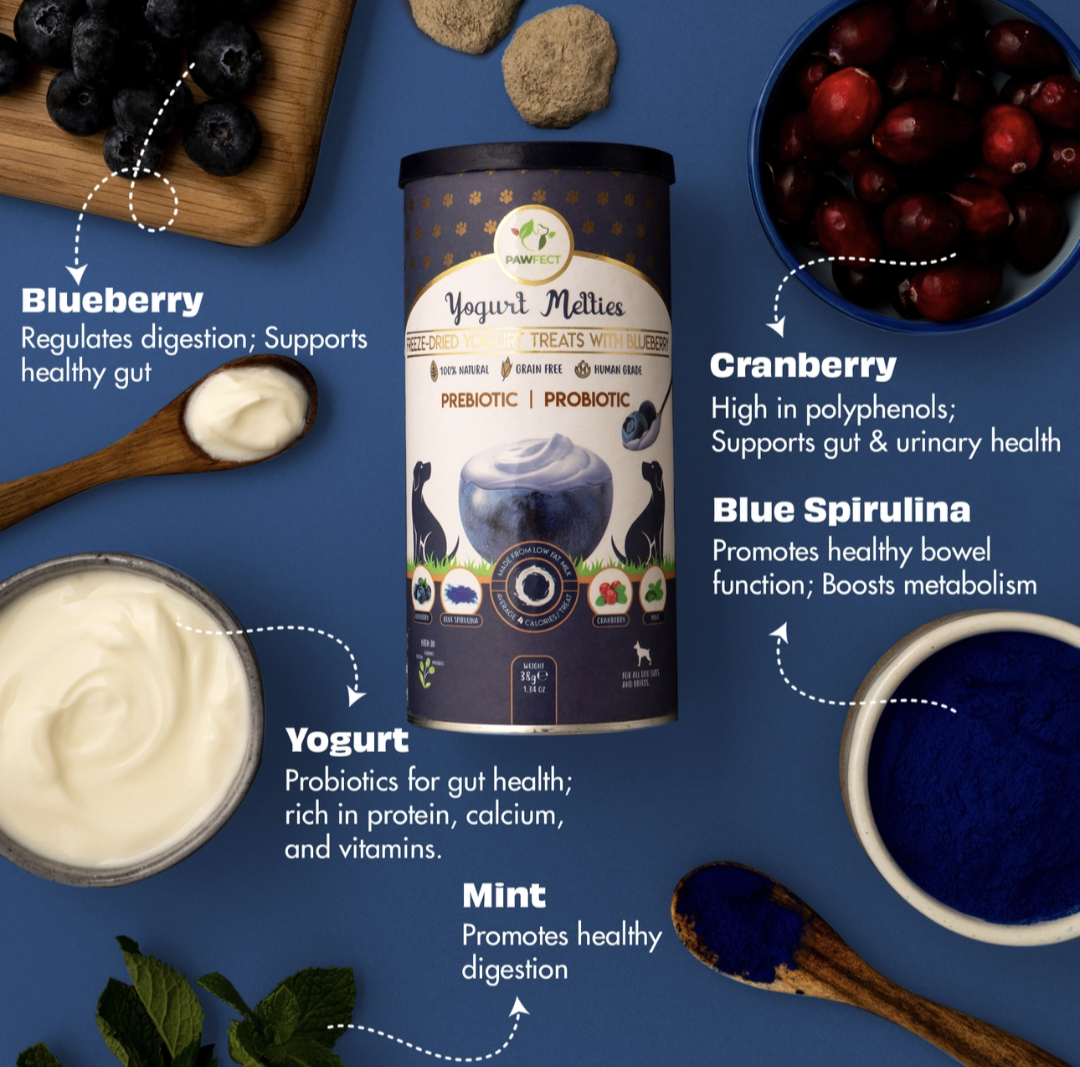 Pawfect Yogurt Melties Pre and Probiotic Dog Treats with Blueberry, Cranberry, Blue Spirulina & Mint | Healthy Gut | Low Calories | Grain & Gluten Free | Reward or Training Treats (38g/1.34oz)