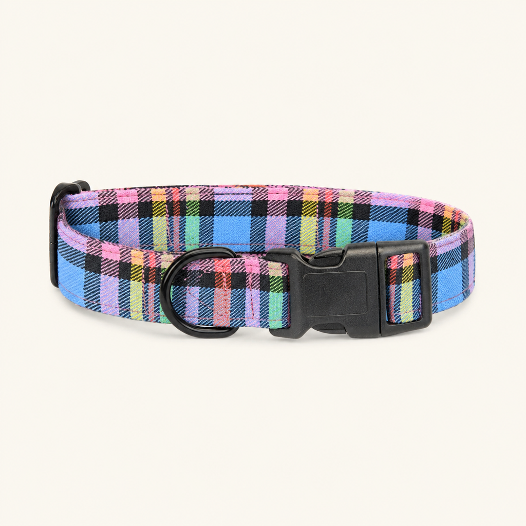 Rainbow Check Collar