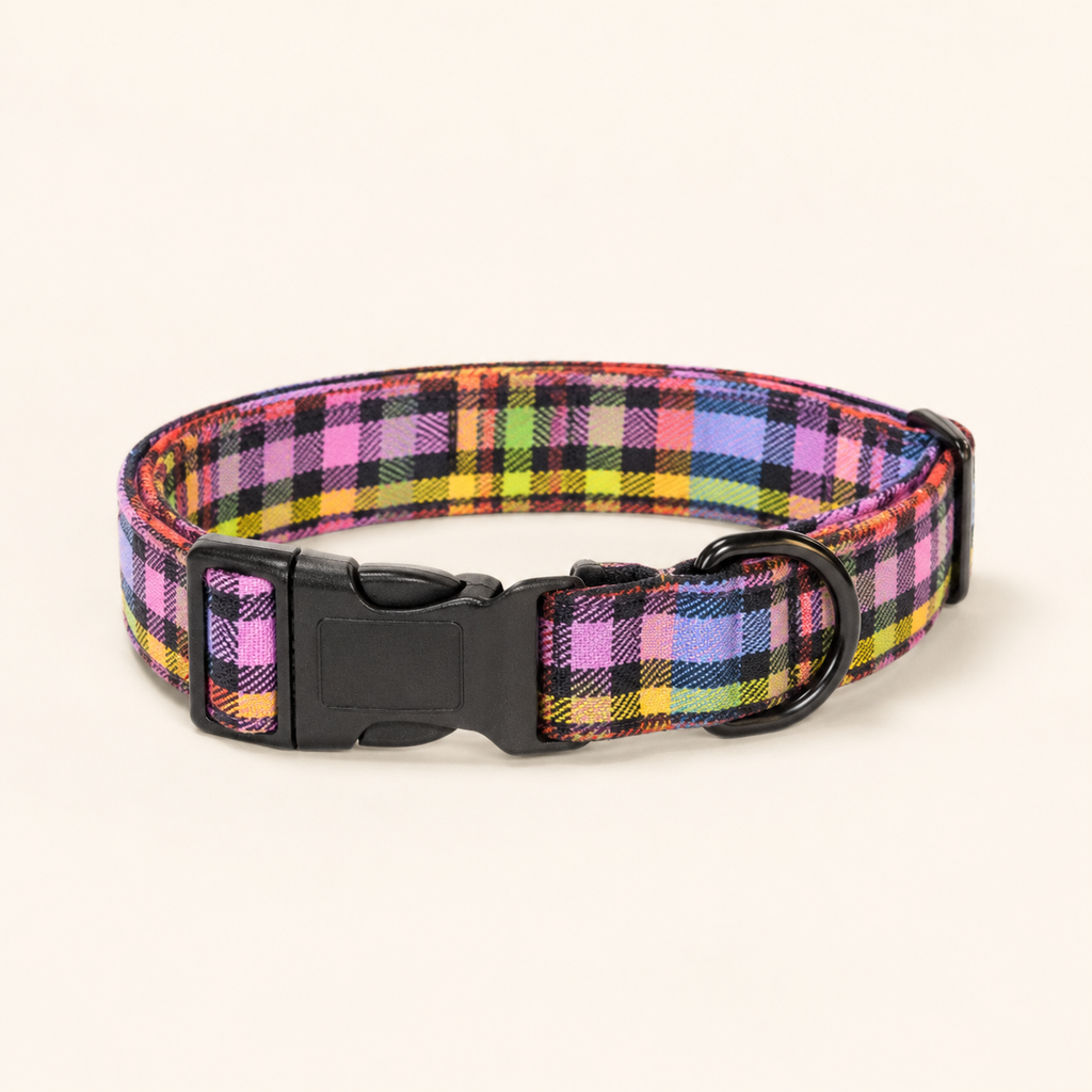 Rainbow Check Collar