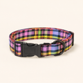 Rainbow Check Collar