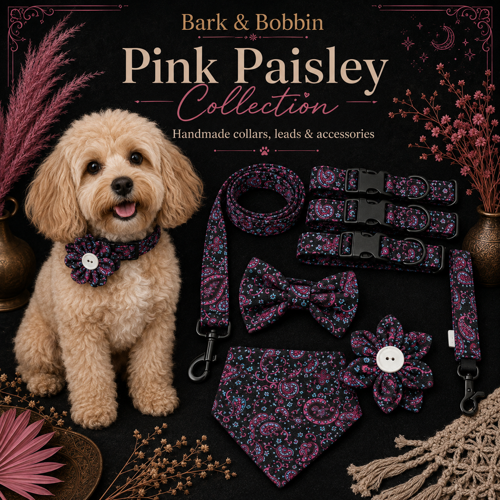 Pink Paisley Collar, Lead & Accessory Set 🌸