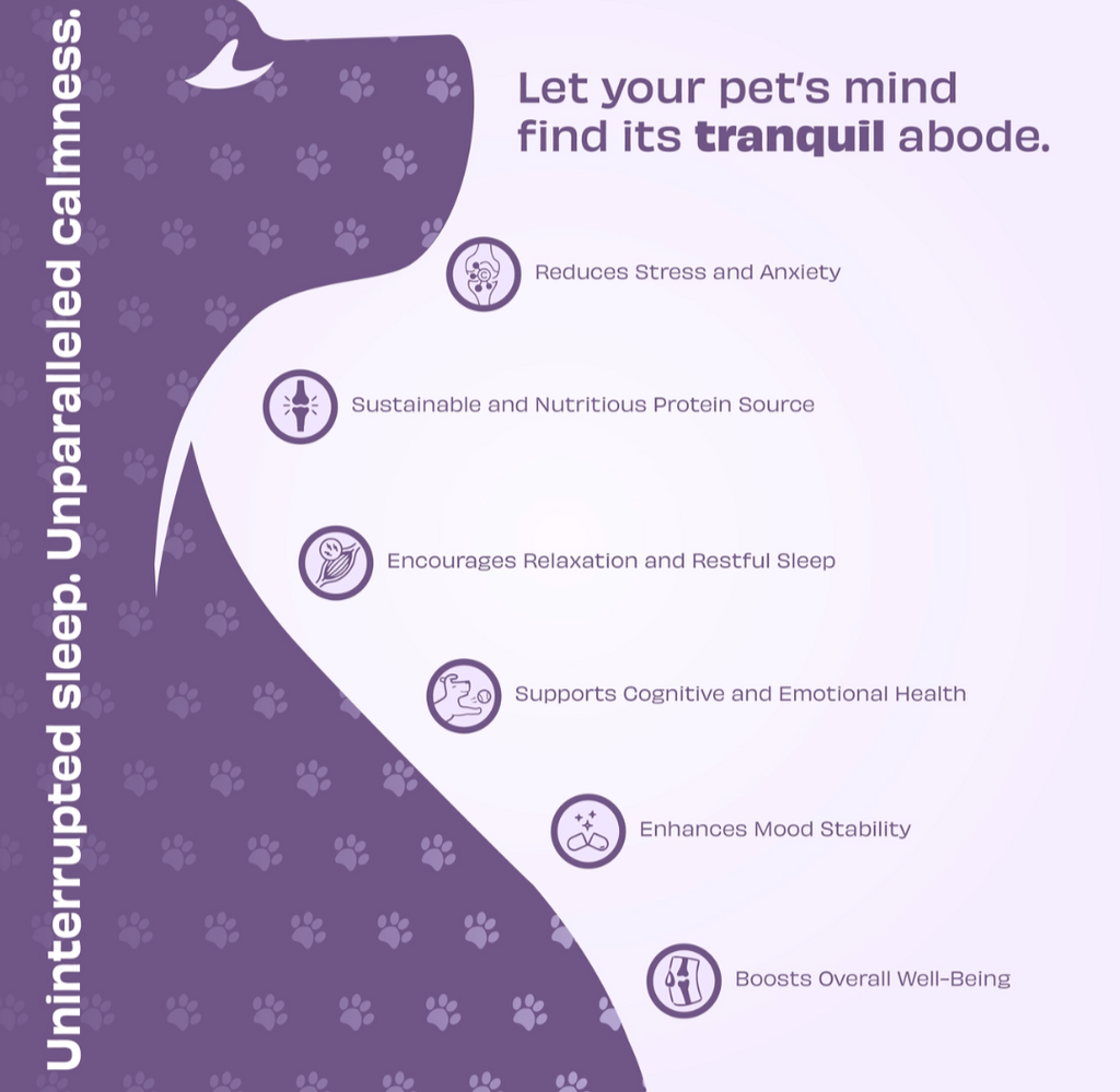 Pawfect Wild Vigor Zen Calm Bites | Calming Supplement For Dogs | All Natural | Grain Free | Enriched with Insect Protein, Chamomile, Valerian Root, Ashwagandha & Choline (70g/2.46oz)
