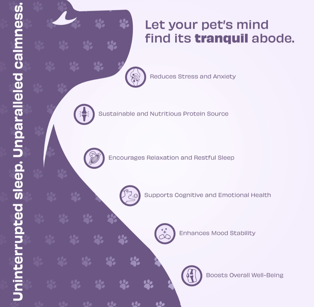 Pawfect Wild Vigor Zen Calm Bites | Calming Supplement For Dogs | All Natural | Grain Free | Enriched with Insect Protein, Chamomile, Valerian Root, Ashwagandha & Choline (70g/2.46oz)