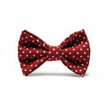 Wine Red Polka - Dot Dickie Bow Tie