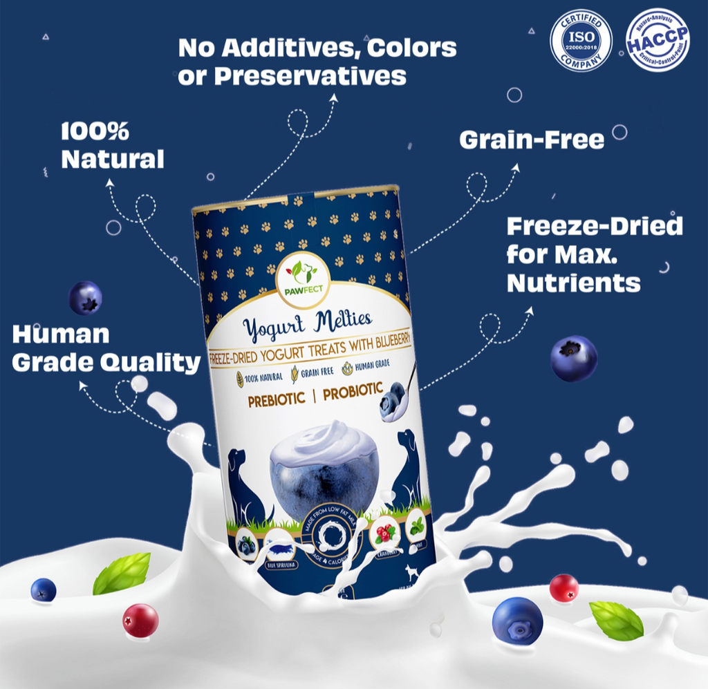 Pawfect Yogurt Melties Pre and Probiotic Dog Treats with Blueberry, Cranberry, Blue Spirulina & Mint | Healthy Gut | Low Calories | Grain & Gluten Free | Reward or Training Treats (38g/1.34oz)