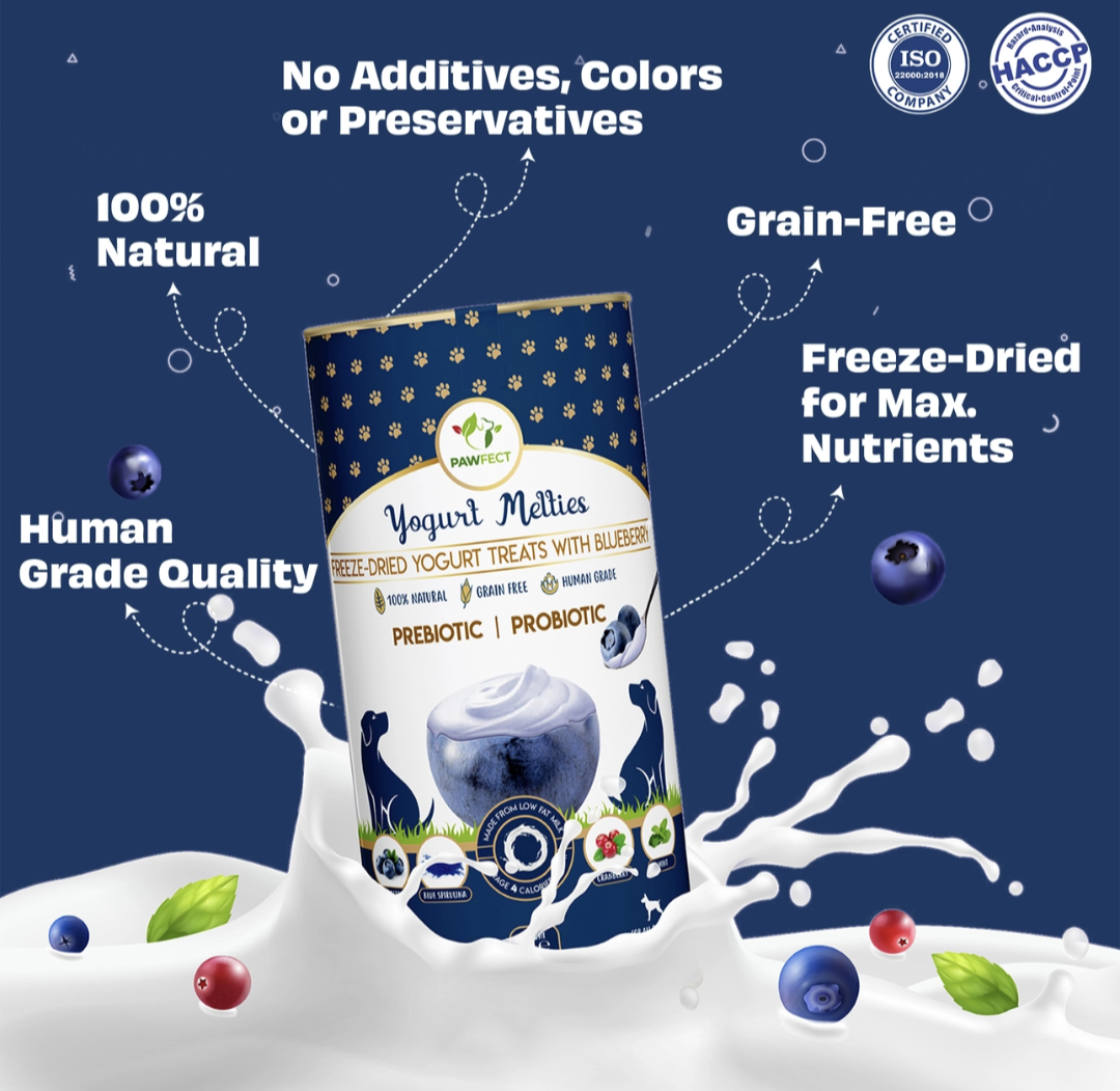Pawfect Yogurt Melties Pre and Probiotic Dog Treats with Blueberry, Cranberry, Blue Spirulina & Mint | Healthy Gut | Low Calories | Grain & Gluten Free | Reward or Training Treats (38g/1.34oz)