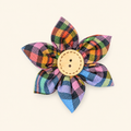 Rainbow Check Flower Collar Accessory