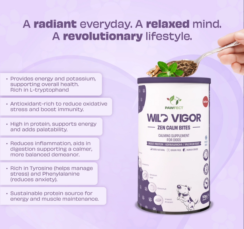 Pawfect Wild Vigor Zen Calm Bites | Calming Supplement For Dogs | All Natural | Grain Free | Enriched with Insect Protein, Chamomile, Valerian Root, Ashwagandha & Choline (70g/2.46oz)
