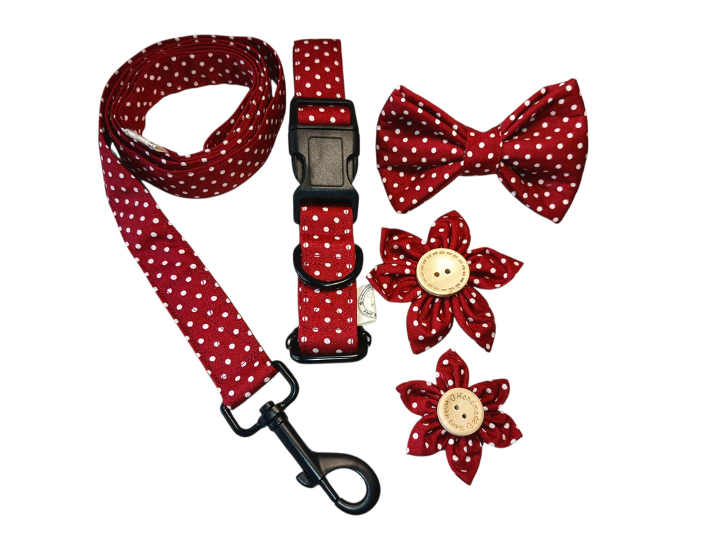 Wine Red Polka dot Dog Collar