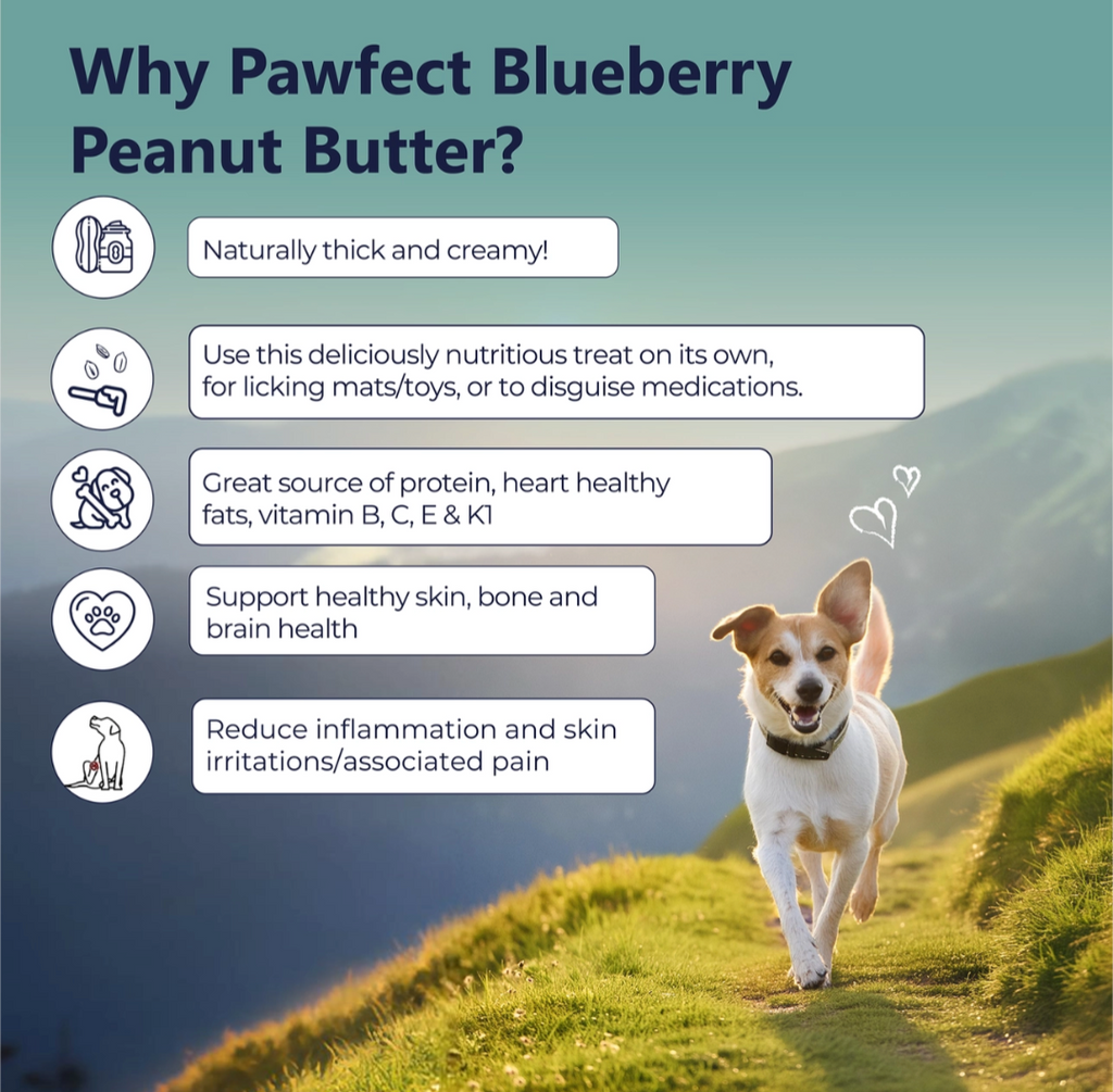 Pawfect Peanut Butter with Blueberries & Hempseeds For Dogs & Puppies | 100% Natural | No Added Sugar, Salt, Palm Oil | No Sweeteners, No Xylitol | Healthy Dog Treat