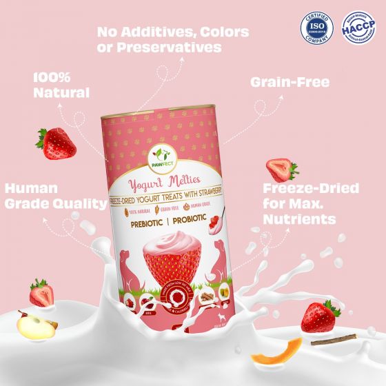 Pawfect Yogurt Melties Pre and Probiotic Dog Treats with Blueberry, Cranberry, Blue Spirulina & Mint | Healthy Gut | Low Calories | Grain & Gluten Free | Reward or Training Treats (38g/1.34oz)