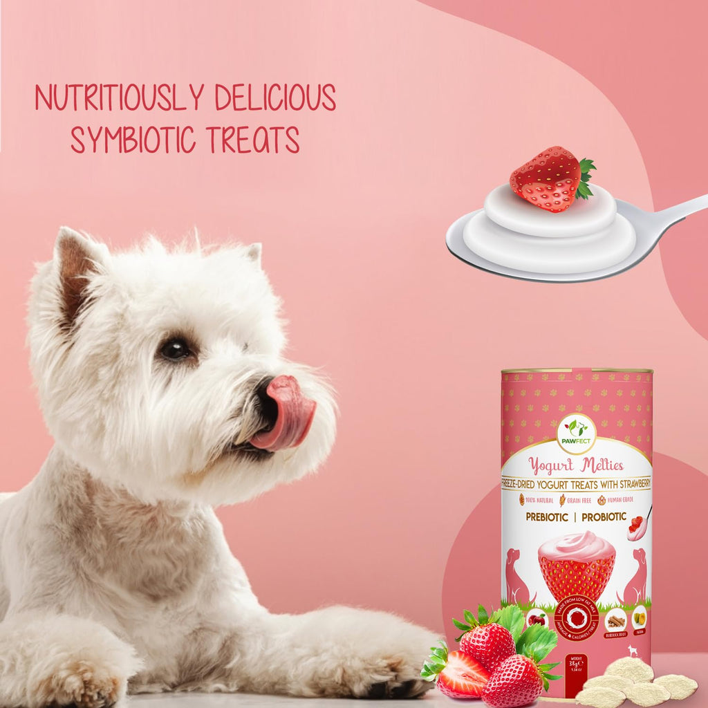 Pawfect Yogurt Melties Pre and Probiotic Dog Treats with Blueberry, Cranberry, Blue Spirulina & Mint | Healthy Gut | Low Calories | Grain & Gluten Free | Reward or Training Treats (38g/1.34oz)