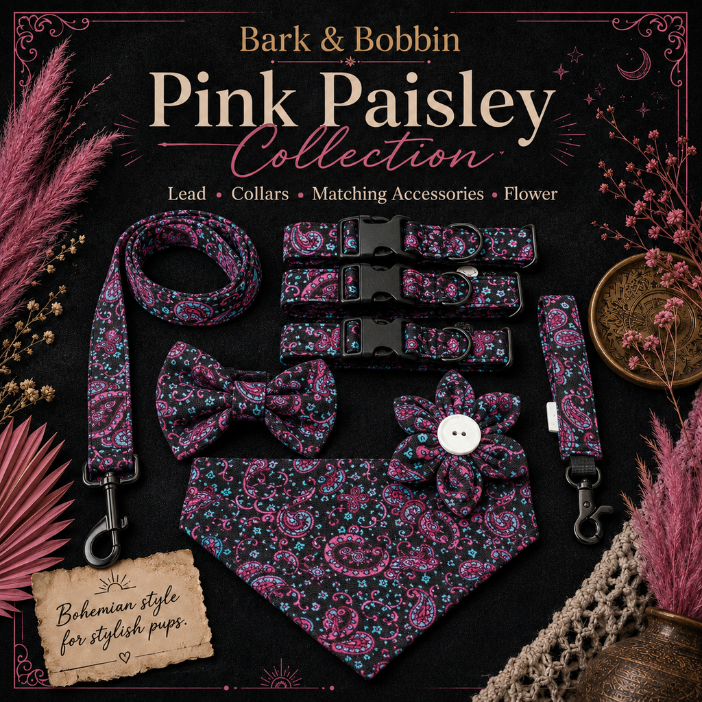 Pink Paisley Collar, Lead & Accessory Set 🌸