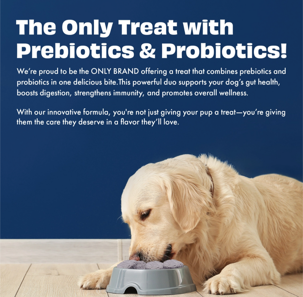 Pawfect Yogurt Melties Pre and Probiotic Dog Treats with Blueberry, Cranberry, Blue Spirulina & Mint | Healthy Gut | Low Calories | Grain & Gluten Free | Reward or Training Treats (38g/1.34oz)