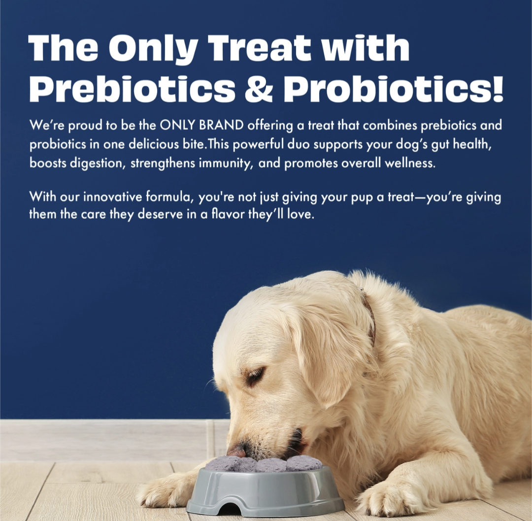 Pawfect Yogurt Melties Pre and Probiotic Dog Treats with Blueberry, Cranberry, Blue Spirulina & Mint | Healthy Gut | Low Calories | Grain & Gluten Free | Reward or Training Treats (38g/1.34oz)
