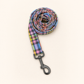 Rainbow Check Lead